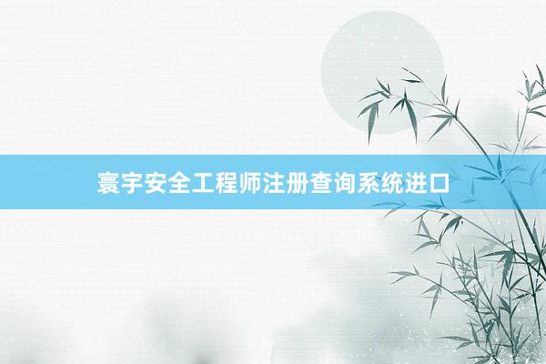 寰宇安全工程师注册查询系统进口